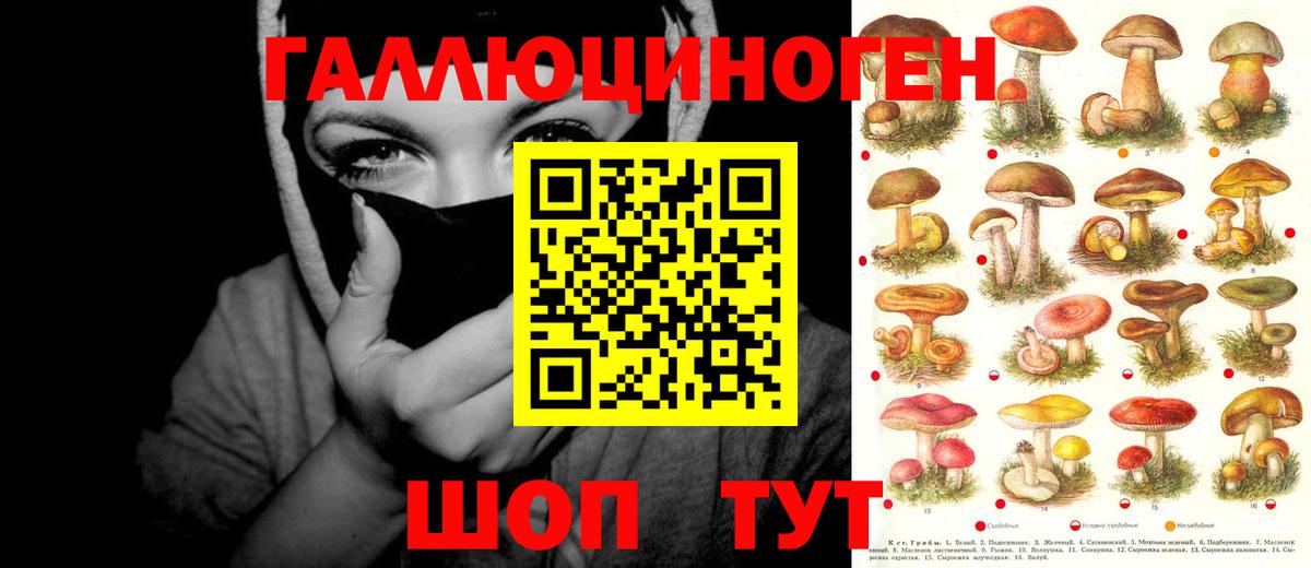 Псилоцибиновые грибы GOLDEN TEACHER Хабаровск